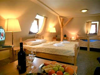 Hotel Zelený dům - ubytování - Boží Dar